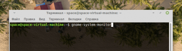 Запускаем диспетчер задач в Linux