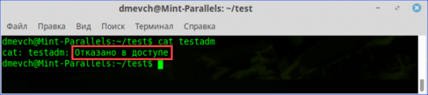 Ошибка «Permission denied» в Linux