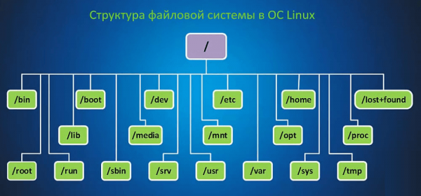 В чем отличия Windows от Linux