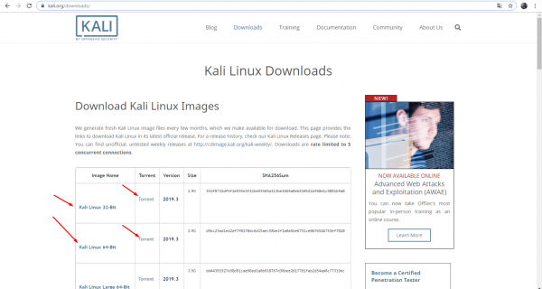 Установка Kali Linux на флэшку