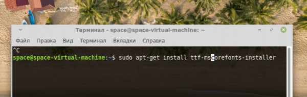 Устанавливаем шрифты в Linux